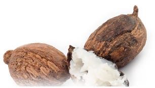 Shea butter (Karite)